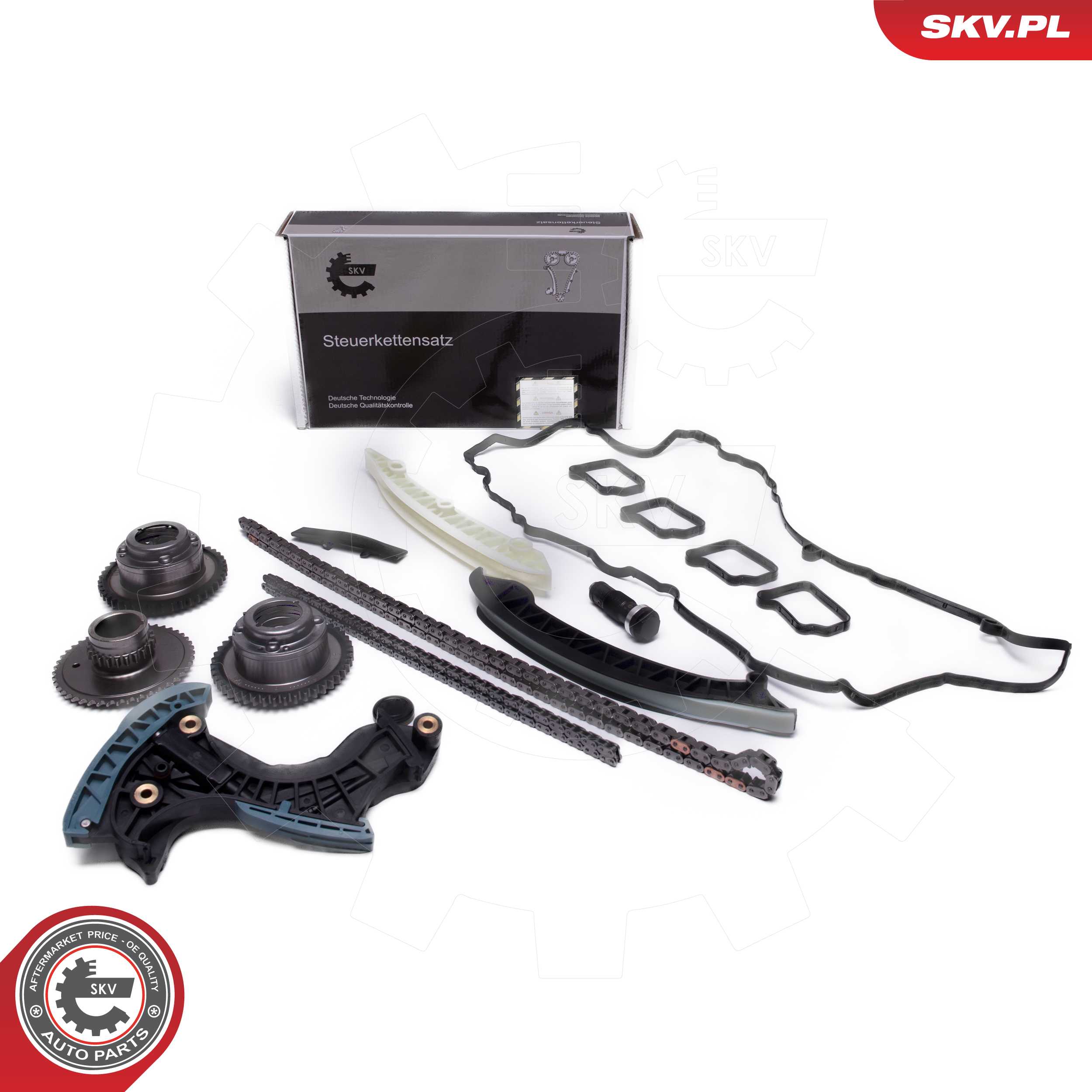 Timing Chain Kit (21SKV268)