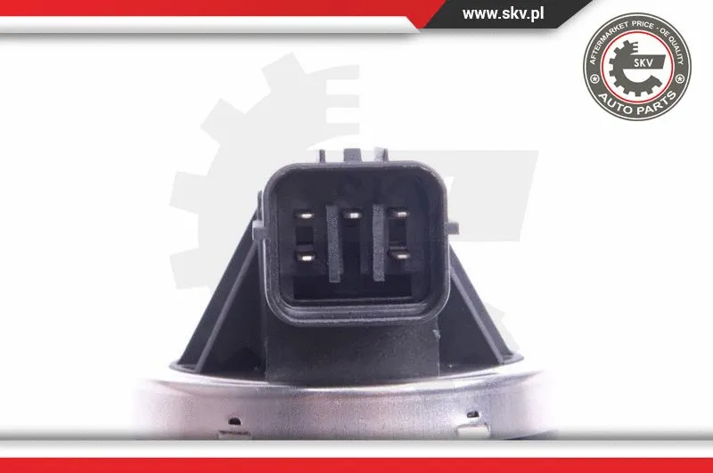 EGR Valve