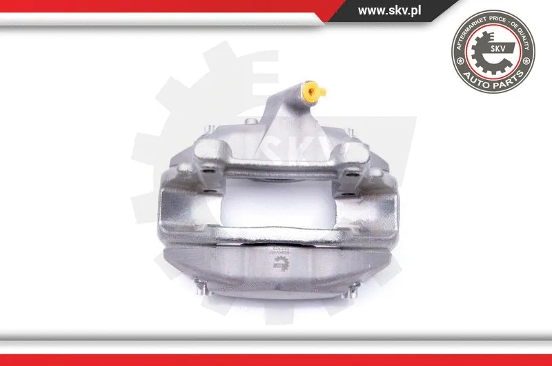 Brake Caliper (42SKV451)