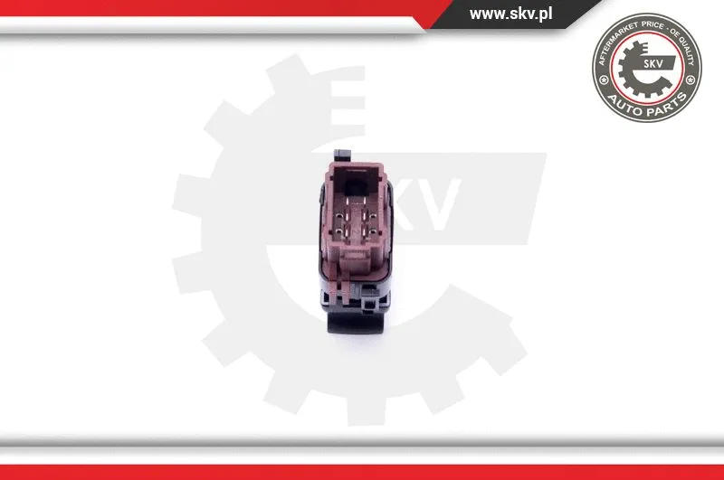 Switch, window regulator