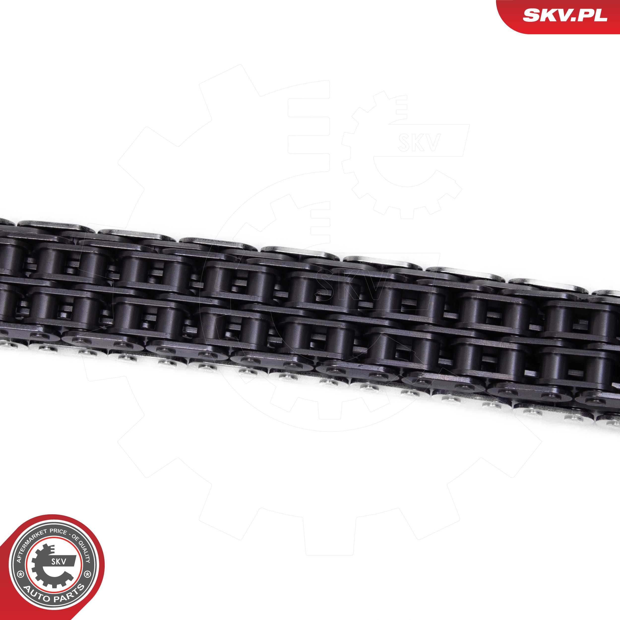 Timing Chain Kit