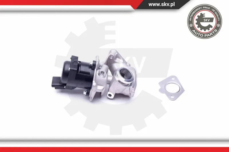 EGR Valve
