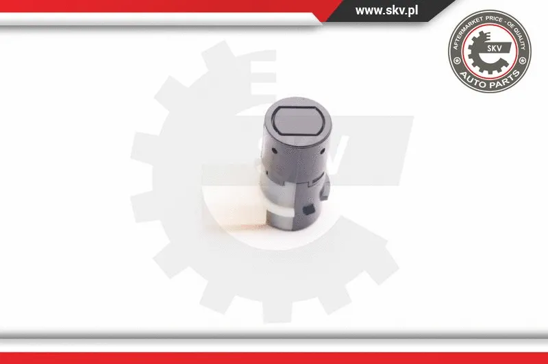 Sensor, parking distance control