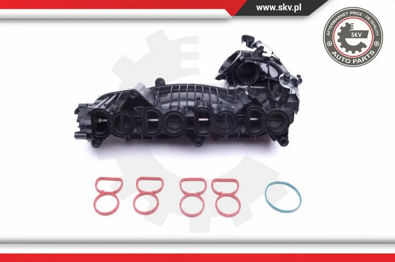 Intake Manifold Module