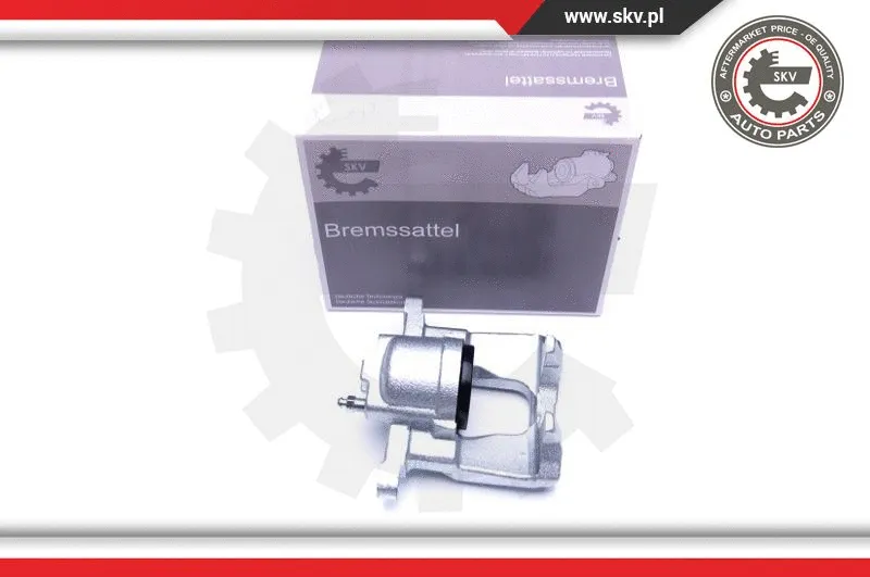 Brake Caliper (44SKV613)