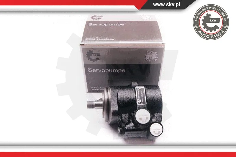 Hydraulic Pump, steering (1SKV0013)