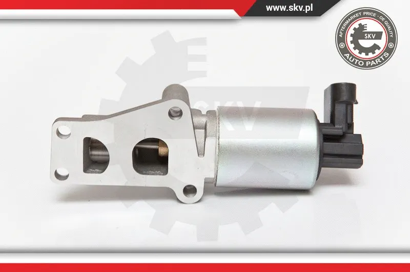 EGR Valve (14SKV065)