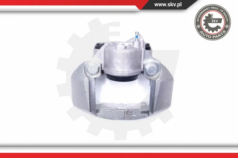Brake Caliper (42SKV111)