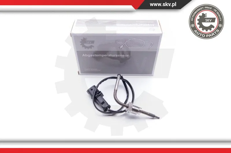 Sensor, exhaust gas temperature (30SKV101)