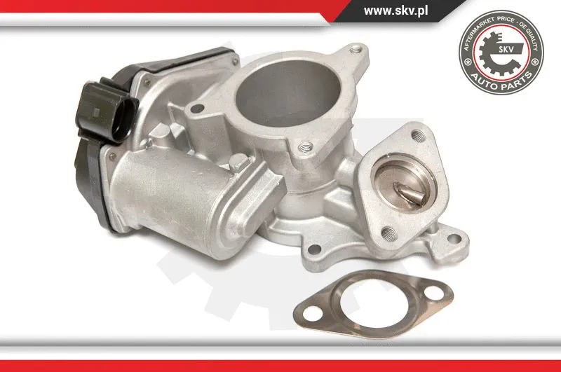 EGR Valve