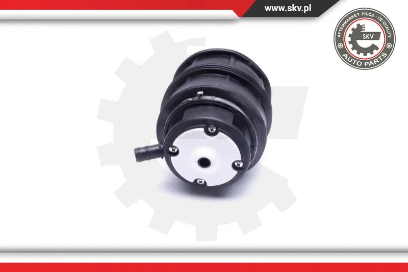 Air Spring, suspension