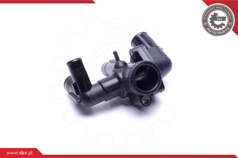 Thermostat, coolant