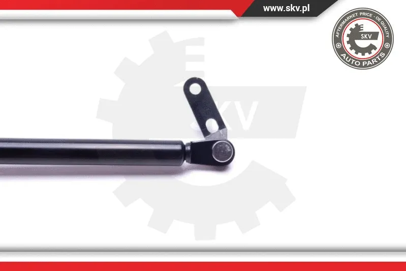 Gas Spring, boot/cargo area