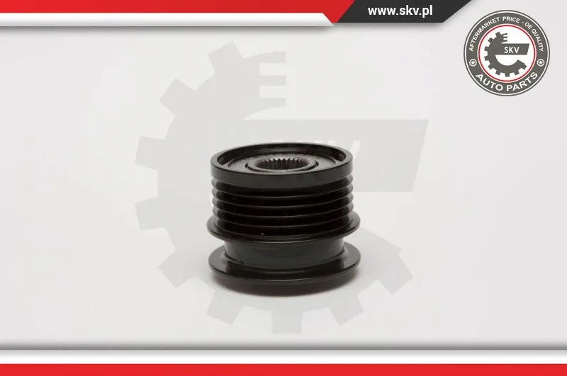 Alternator Freewheel Clutch