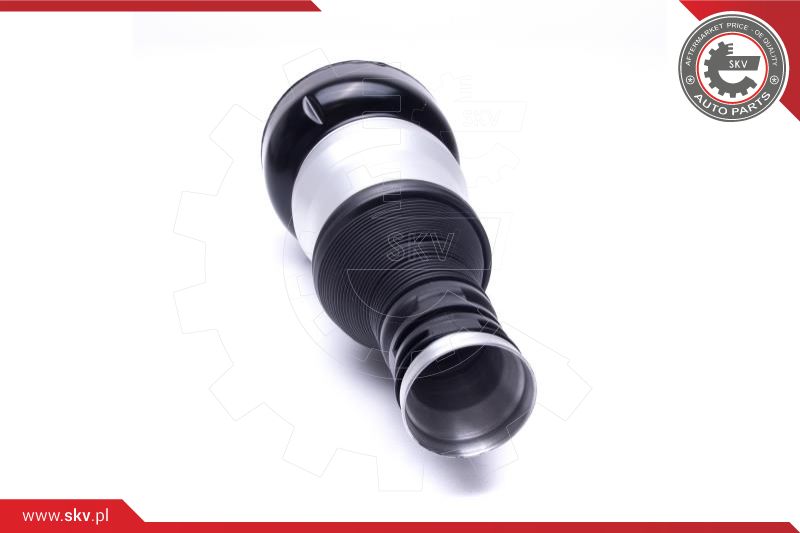 Air Suspension Strut