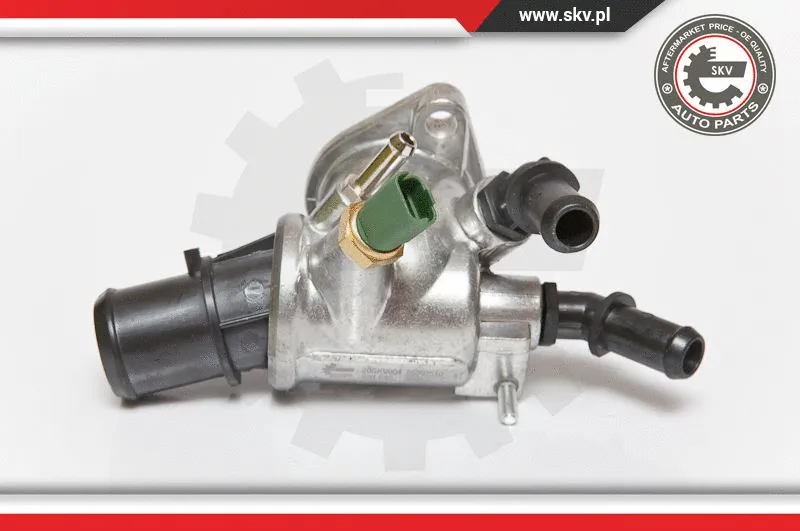 Thermostat, coolant