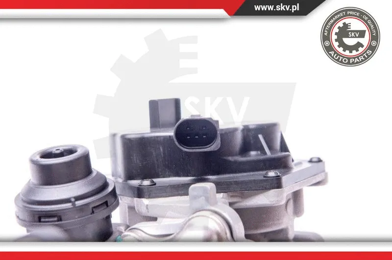 EGR Valve (14SKV153)