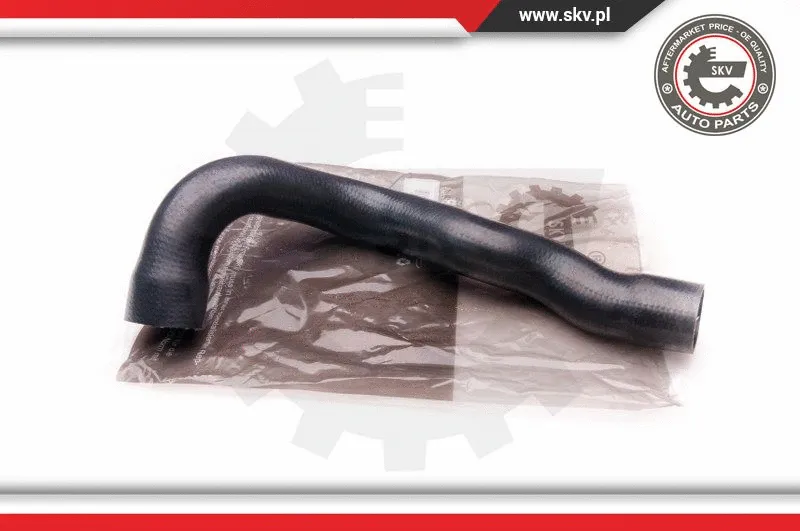 Charge Air Hose (24SKV163)