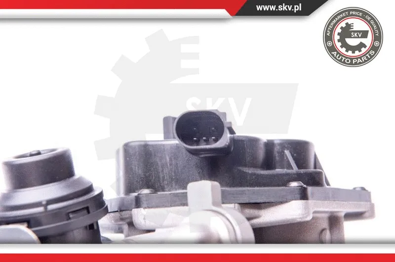 EGR Valve