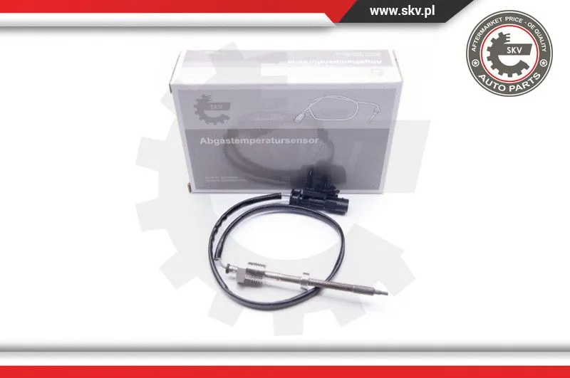 Sensor, exhaust gas temperature (30SKV069)