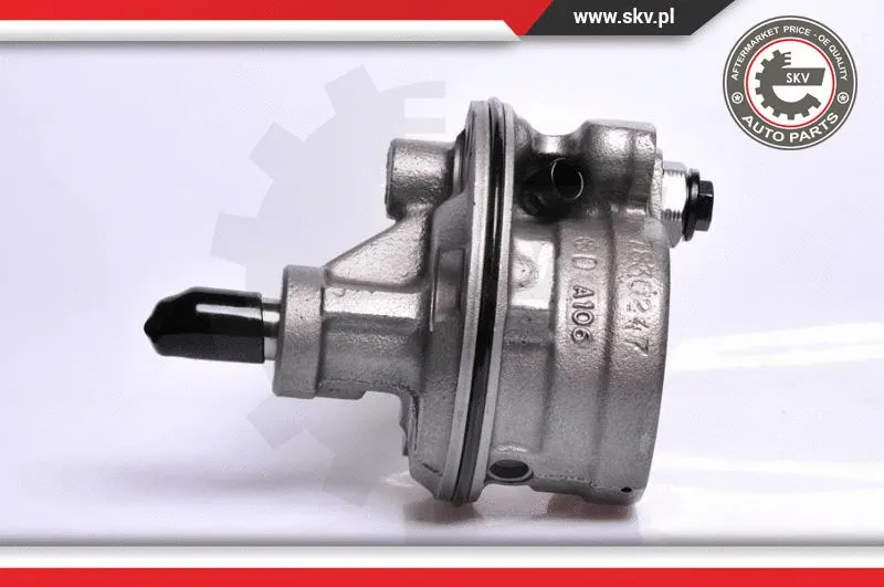 Hydraulic Pump, steering (10SKV128)