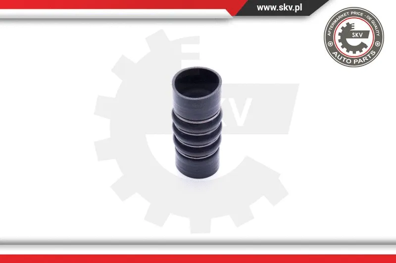 Charge Air Hose (24SKV773)