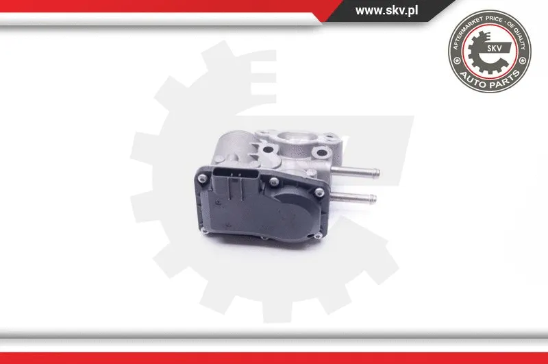 EGR Valve