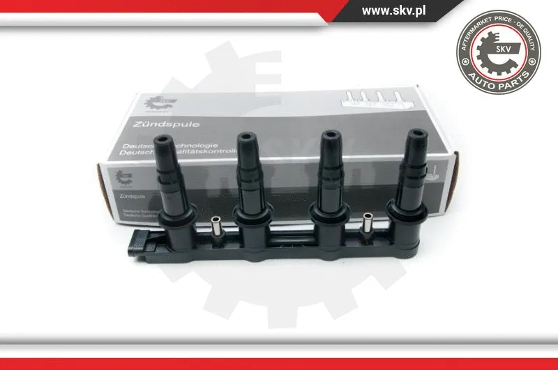 Ignition Coil (03SKV254)