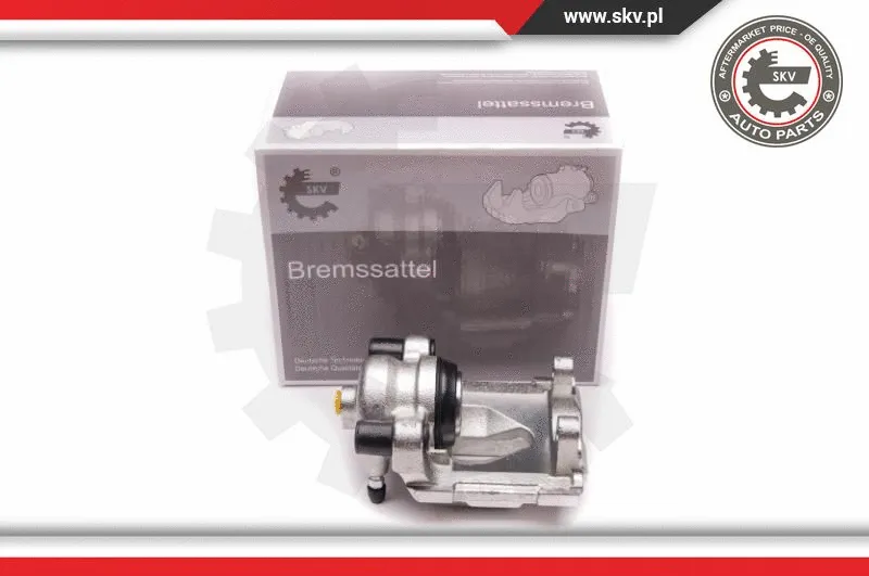 Brake Caliper (23SKV753)