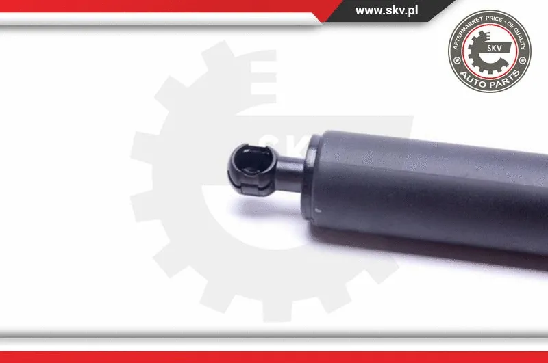 Gas Spring, boot/cargo area