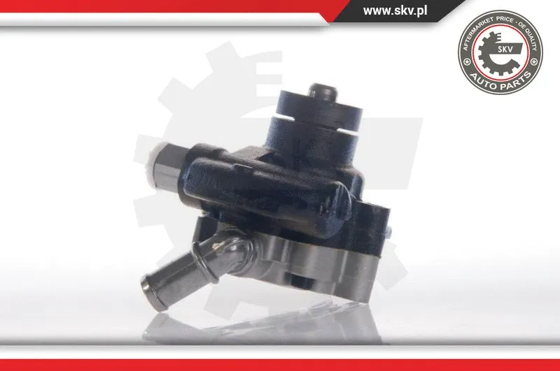 Hydraulic Pump, steering (10SKV158)