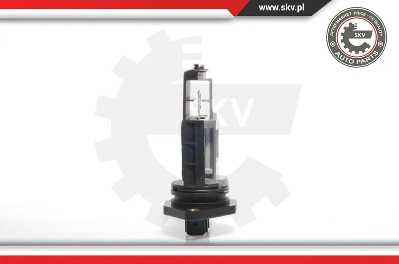 Mass Air Flow Sensor (07SKV002)