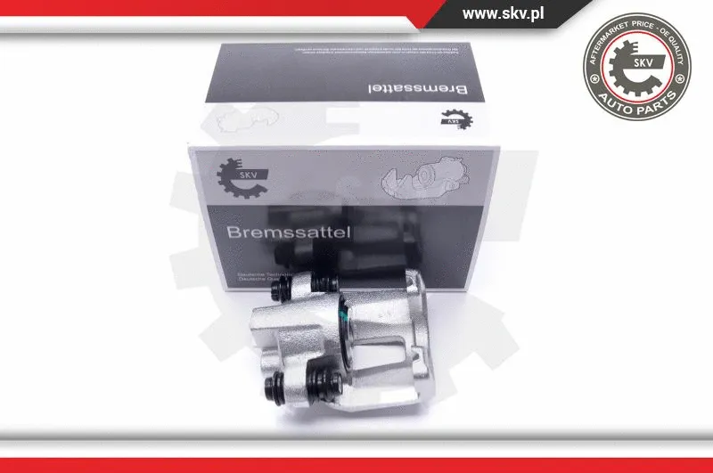 Brake Caliper (45SKV853)