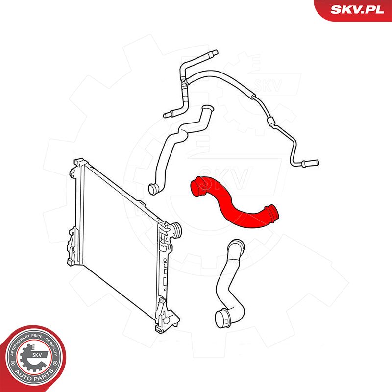 Radiator Hose