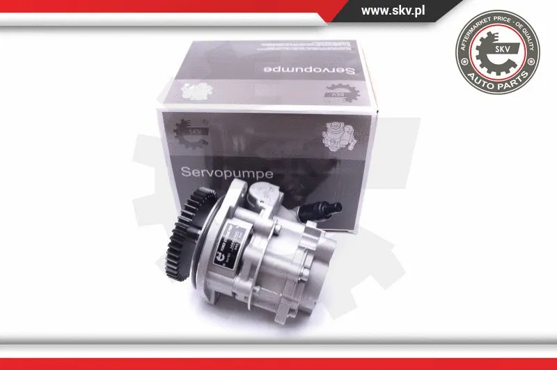 Hydraulic Pump, steering (10SKV289)
