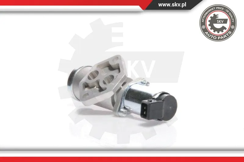 Idle Control Valve, air supply (08SKV221)