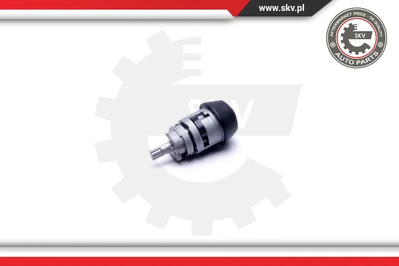 Steering Lock