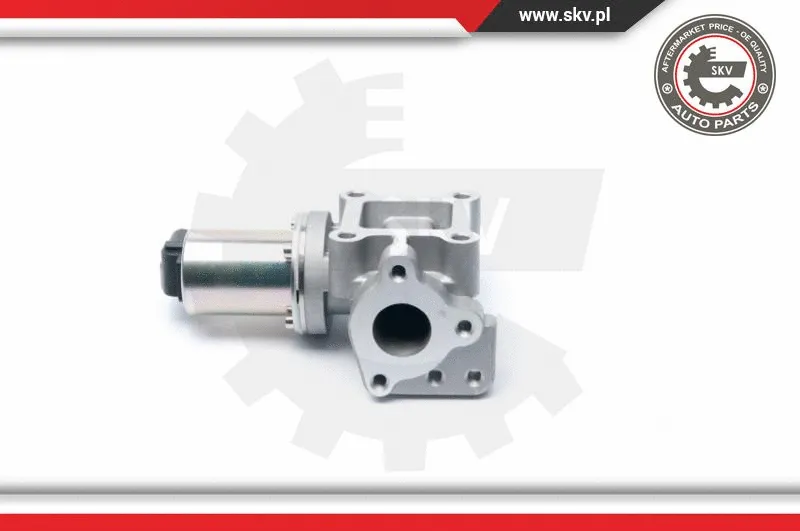 EGR Valve