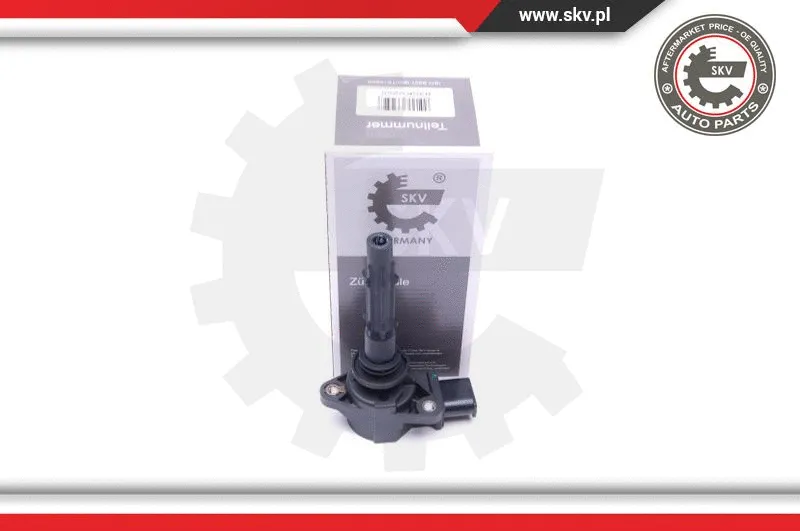 Ignition Coil (03SKV255)