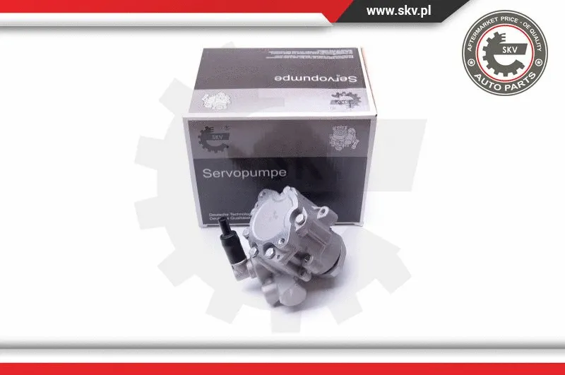 Hydraulic Pump, steering (10SKV282)