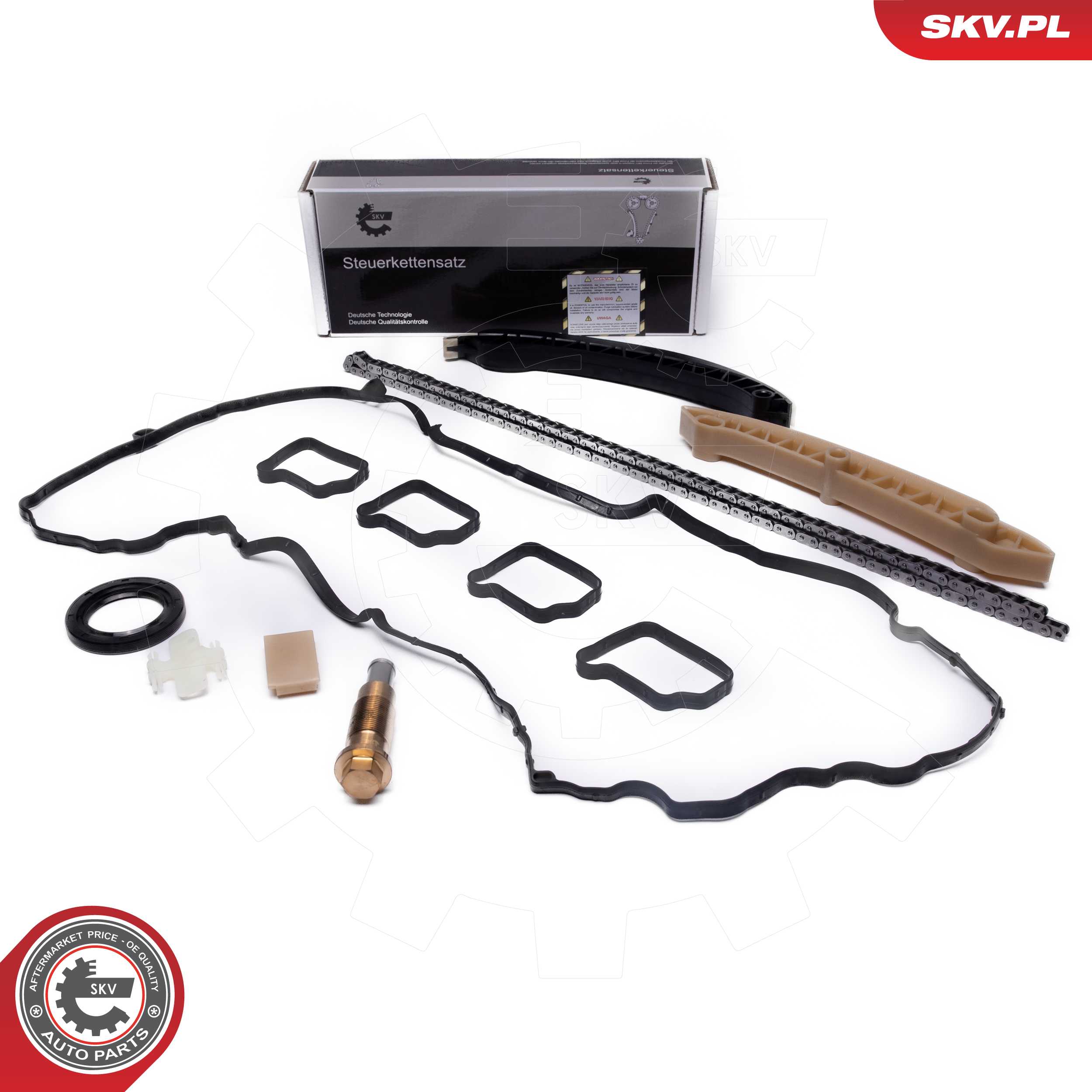 Timing Chain Kit (21SKV263)