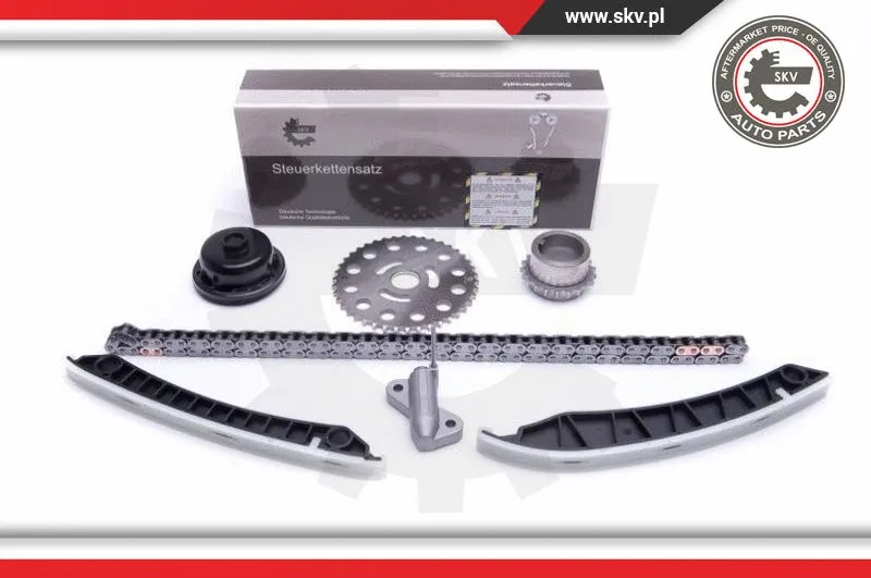 Timing Chain Kit (21SKV193)