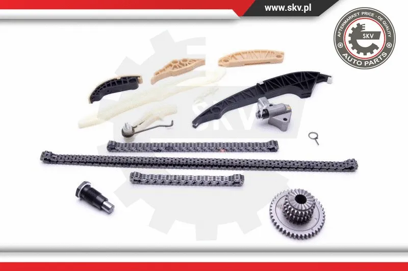 Timing Chain Kit