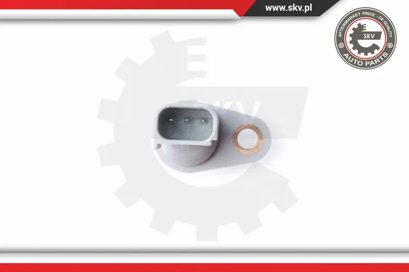 Sensor, camshaft position (17SKV260)