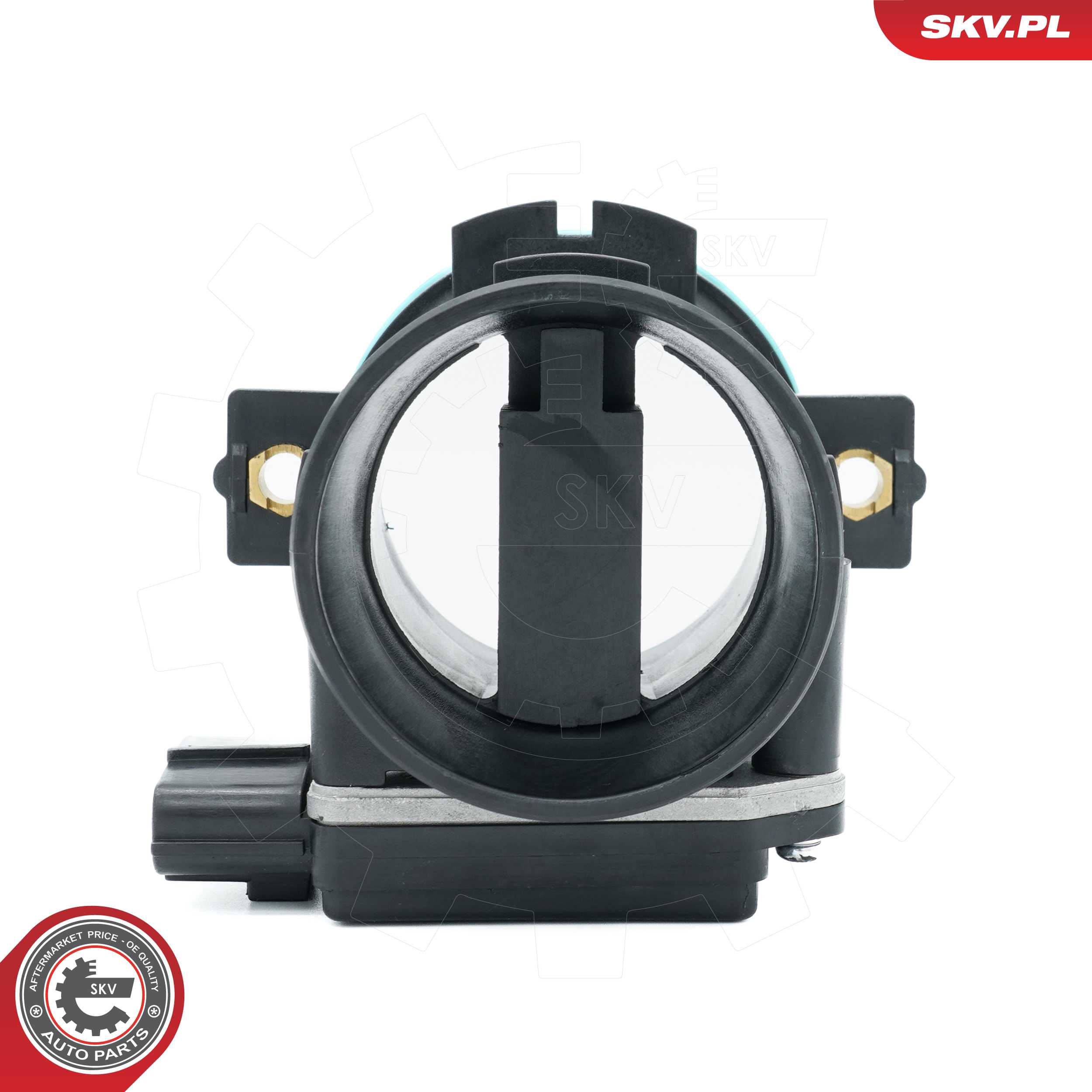 Mass Air Flow Sensor