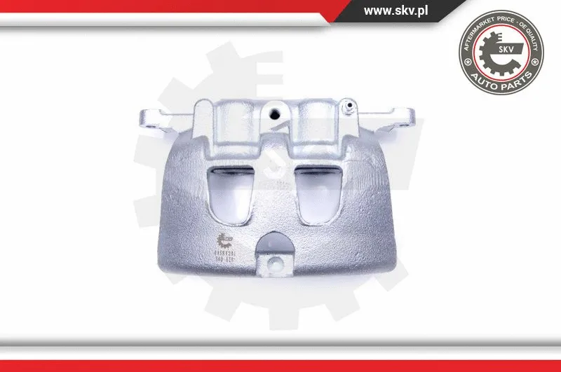 Brake Caliper (44SKV201)