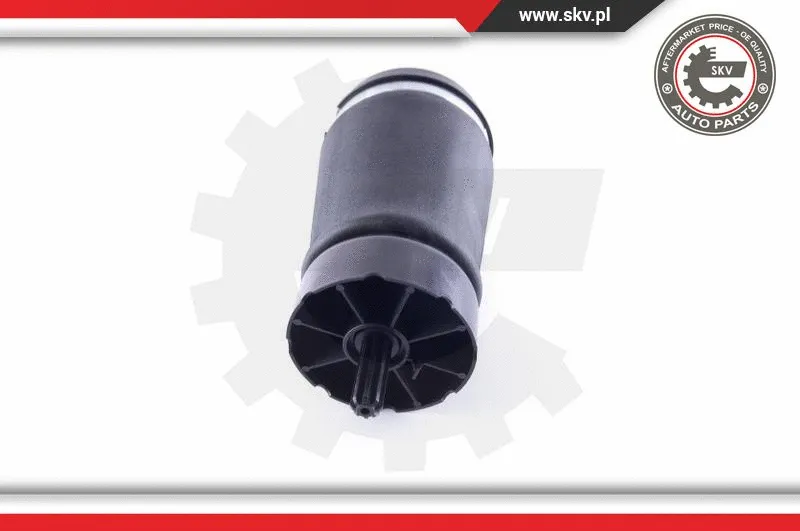 Air Spring, suspension