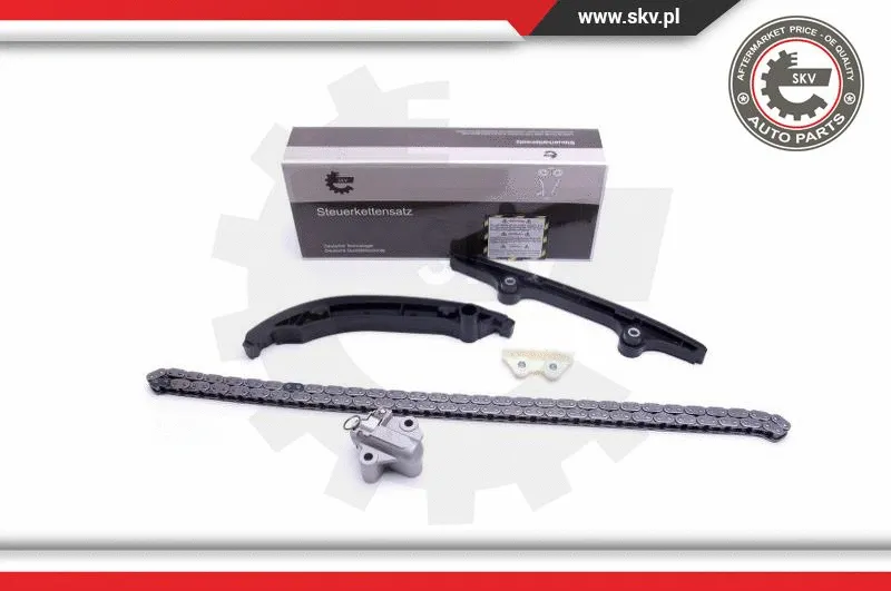 Timing Chain Kit (21SKV121)