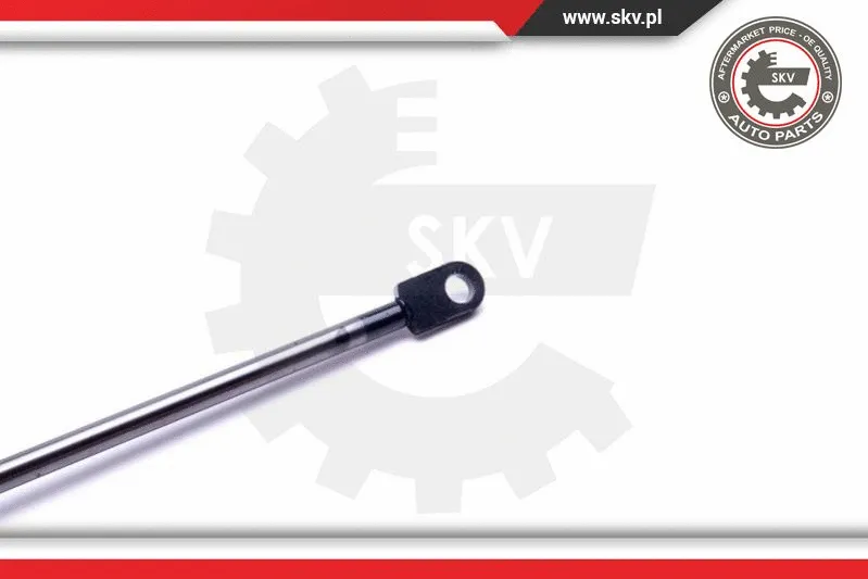 Gas Spring, boot/cargo area