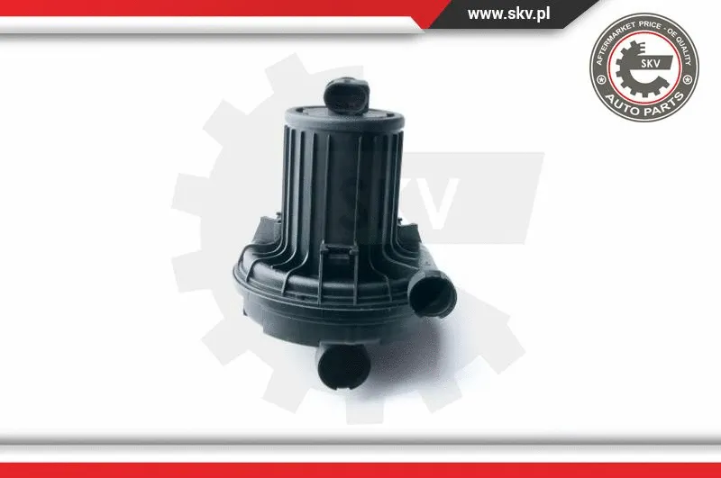 Secondary Air Pump